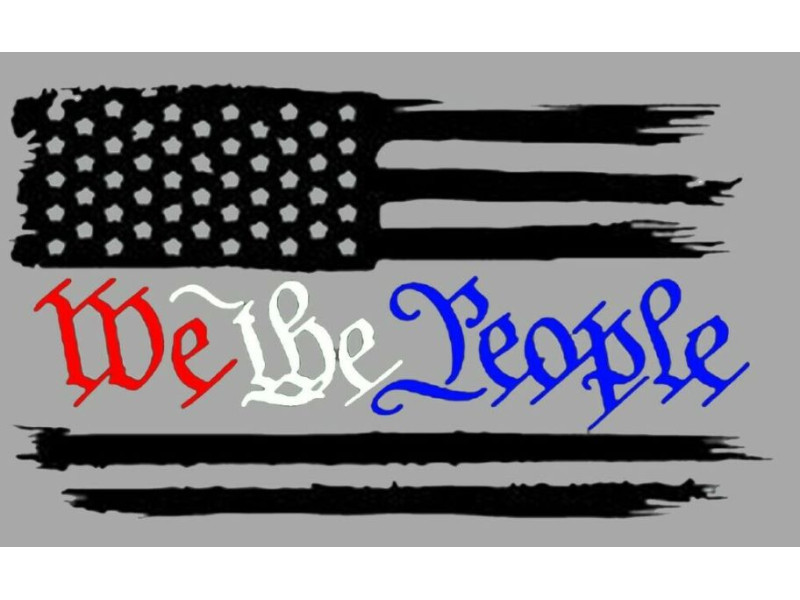 WE THE PEOPLE GREY DECAL