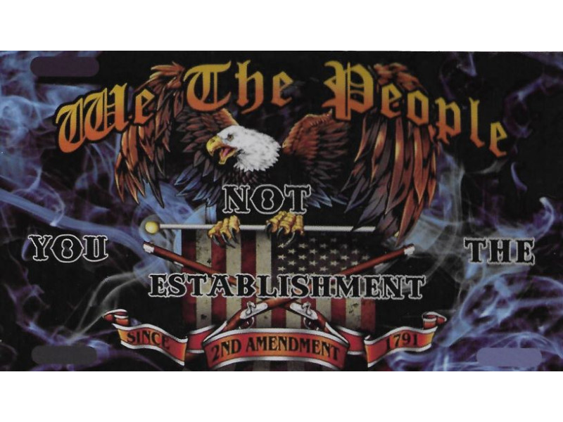 WE THE PEOPLE NOT YOU THE ESTABLISHMENT BACK WINDOW DECAL