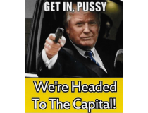GET IN PUSSY WERE HEADED TO THE CAPITOL DECAL