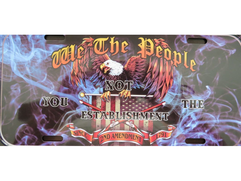 WE THE PEOPLE NOT YOU THE ESTABLISHMENT LICENSE PLATE