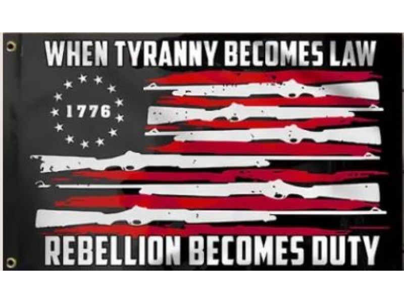 WHEN TYRANY BECOMES LAW REBELLION BECOMES DUTY 3X5 FLAG