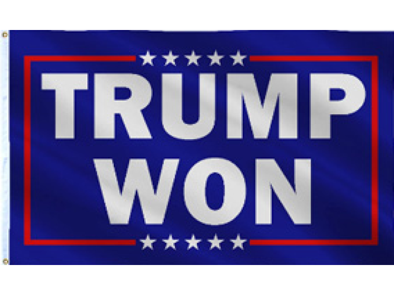 TRUMP WON BLUE 3X5 FLAG